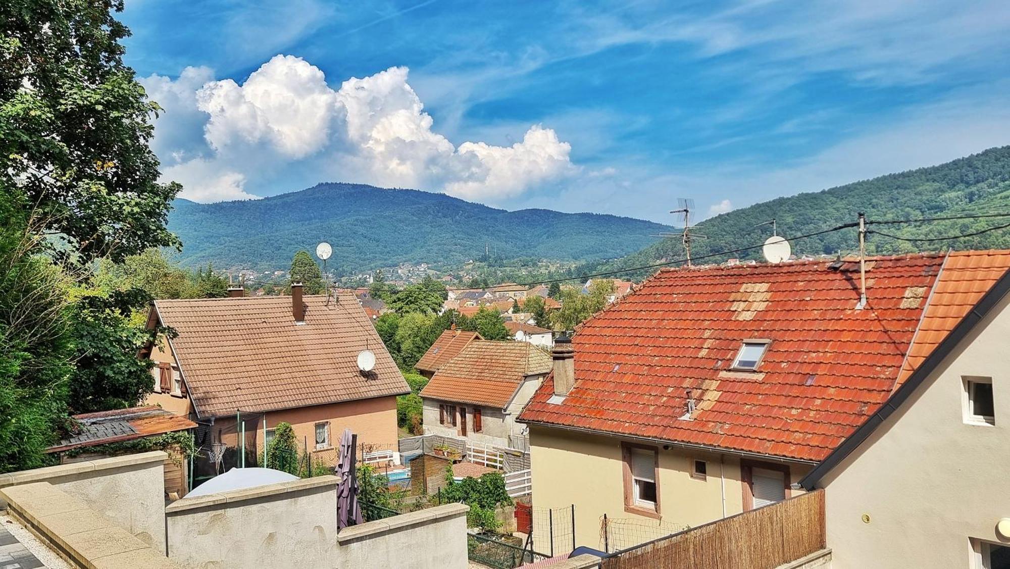 La Buhl Verte - Chic Et Moderne - Calme - Fibre - Relax Bnb Extérieur photo