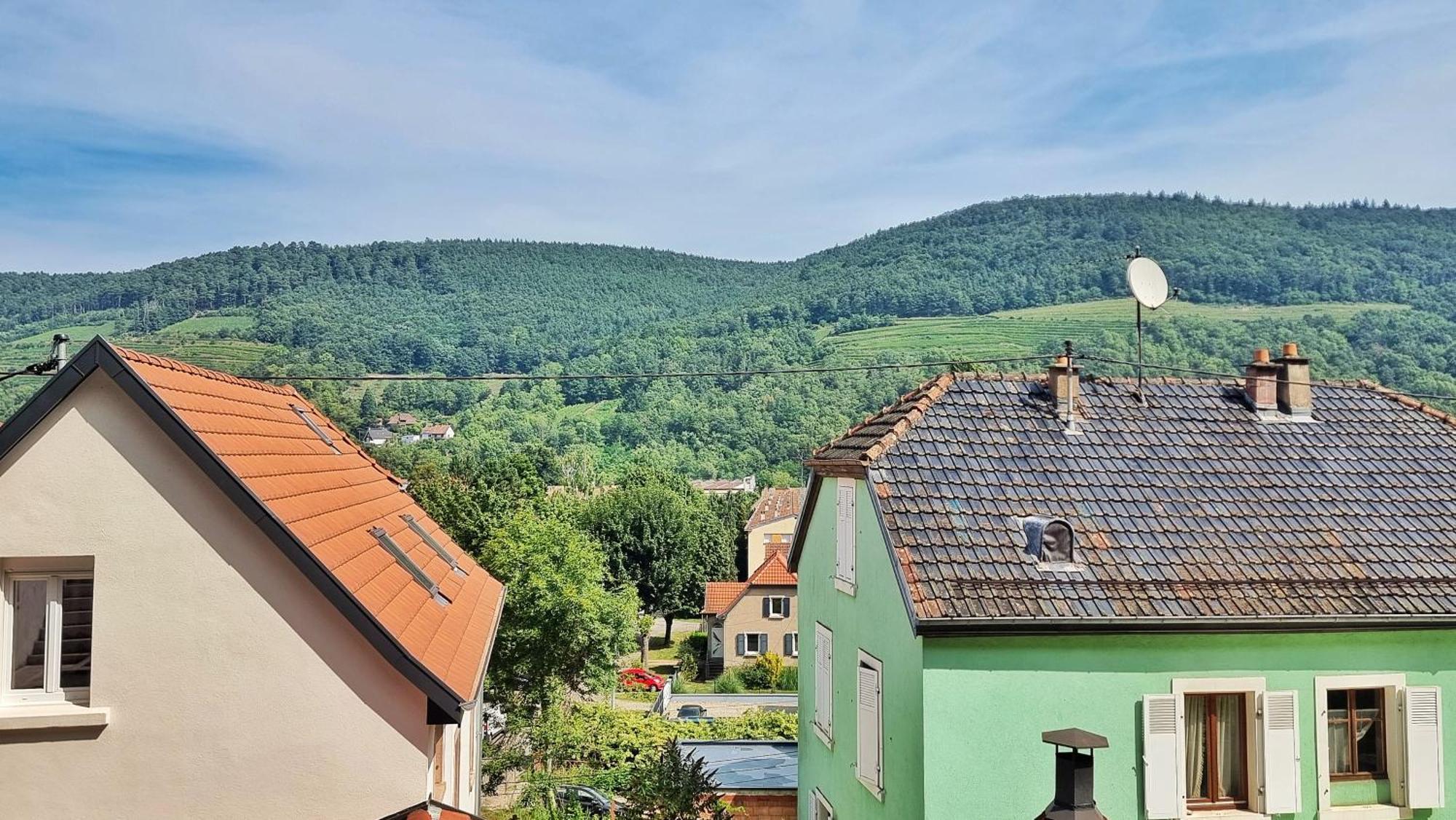 La Buhl Verte - Chic Et Moderne - Calme - Fibre - Relax Bnb Extérieur photo